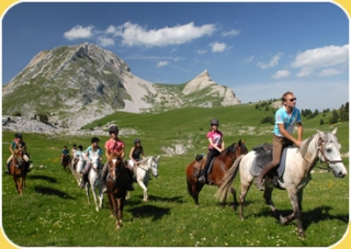 Equitación para chavos de 13 a 17 años 